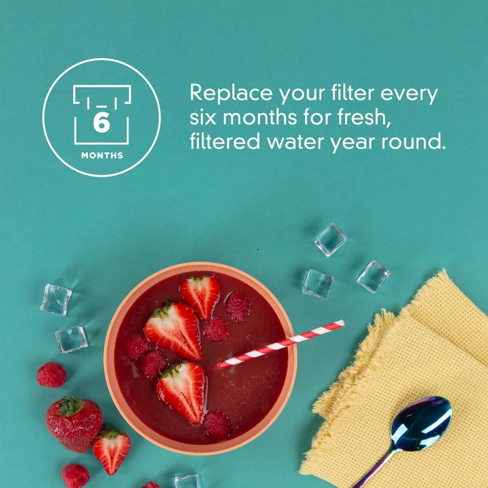 Everydrop by Whirlpool Ice Filter F2WC9I1 Single-Pack-EverydropbyWhirlpool-PriceWhack.com